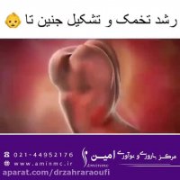 رشد تخمک و تشکیل جنین