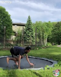 کلیپ خنده دار کوتاه علاقه مار به ترمپولین