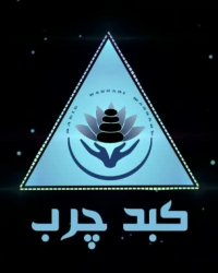 درمان کبد چرب و هرآنچه باید در مورد کبد چرب بدانید