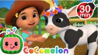 کارتون کوکوملون cocomelon - شعر حیوانات کیوت مزرعه