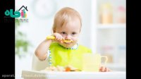 زمان شروع غذای کمکی نوزاد-480p