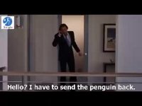 پنگوئن های آقای پاپر اپیزود 4 - سویگل زبان انگلیسی