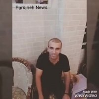 پیتبول ایرانی وندا یاسی هنوز کل کل دارند...