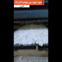 آسیاب ظروف یک بار مصرف