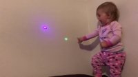 کلیپ بامزه بچه کوچولوها  Baby Chasing Laser Pointer! | Funny Babies Playing Compilation