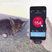 کیفیت آب و هوای محیط با تکنولوژی " Sprimo Personal Air Monitor "