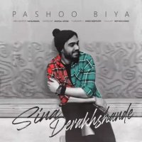 آهنگ جدید سینا درخشنده پاشو بیا