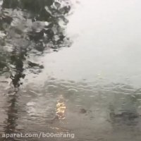 تابستان بارانی در نیوجرسی ۲