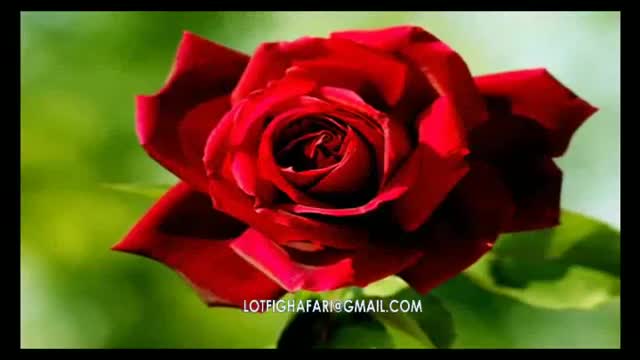 آهنگ خاطره انگیز هرچی آرزوی خوبه ماله تو - احسان خواجه امیری
