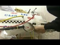 فشار اسب توسط افسار - قسمت دوم