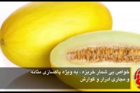 خواص بیشمار خربزه