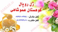 آشنایی با ژل رویال (royal jelly) یا عسل سلطنتی معجزه زنبور عسل کوهستان