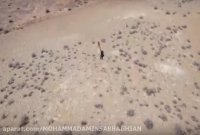 مستند کوتاه یوزپلنگ ایرانی