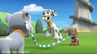 انیمیشن سگ های نگهبان PAW Patrol