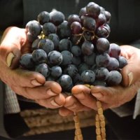 فروش عمده انگور سیاه