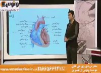 زیست_گردش مواد_آرامفر_موسسه ونوس