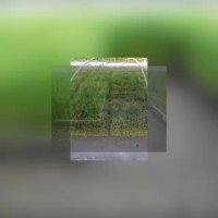 بانک نشا چمستان در آمل