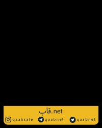 فیلم جذاب شنای پروانه