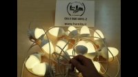 ریسه بلوطی هفت رنگ