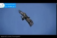 جاذبه های گردشگری اتریش