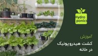آموزش کاربردی کشت هیدروپونیک در خانه