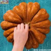 ایده های خلاقانه ساخت لوازم دکوری بتنی