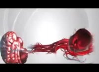 نحوه ماساژ قلبی