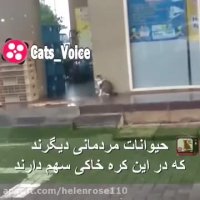 حیوانات مردمى دیكرند  كه در این كره خاكى سهم دارند