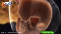 مستند شگفت انگیز راهنمای کامل بارداری-قسمت اول