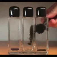 آهنربا و جیوه