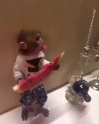 هندونه دوست داره خب!