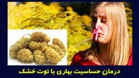 درمان حساسیت فصلی با توت خشک