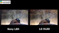 مقایسه تلویزیون های سونی و ال جی