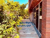 1350 متر باغ ویلای مدرن با طراحی خاص در ملارد