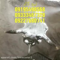 تولید دستگاه کروم پاش فانتاکروم09195498568نیوکالر