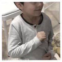 کارگاه لمس حیوانات