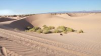 The World's Biggest Aerial R/C Assault - Traxxas Invades Glamis
