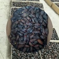 فروش خرمای ربی در ایرانشهر