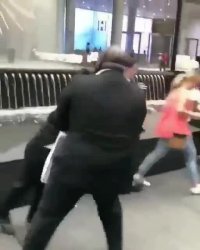 دعوای فیل و فنجون !