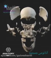 اجزای جمجمه ی انسان به زبان ساده