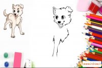 آموزش نقاشی حیوانات (1) سگ انیمه ای