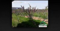 فروش باغ ویلا در حصارساتی شهریار