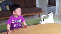 DOG eats baby's food, DOG cries with Baby, CUTENESS overload!