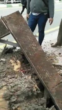 سقوط درخت عظیم‌الجثه در خیابان ولیعصر تهران