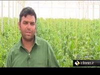 روستای فارفان پیشتاز در اقتصاد مقاومتی