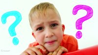 ولاد و نیکی جدید- ولاد و حیوانات خانگی- ولاد و نیکیتا- ولادشو