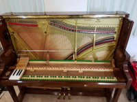 سفارش و رزرو کوک پیانو 09125633895