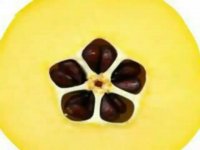 نهال به  ارقلم نهال به غنهالستان تک فیدان 09144811631