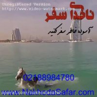 سوارکاری در آبهای نیلگون خلیج فارس