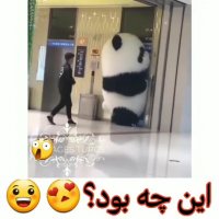 دکتر قولنج | درمان صافی کف پا |‌drgholenj.com/blog